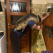 Jac362 - muž, 42 let, Przeworsk