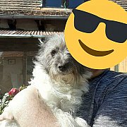 Patryk2101 - muž, 29 let, Bydgoszcz