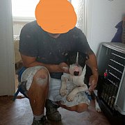 Pbk11998811 - mężczyzna, 43 lat, Kraków