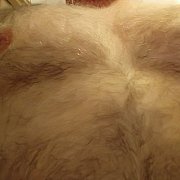 Cygan791 - man, 46 years, Mordy