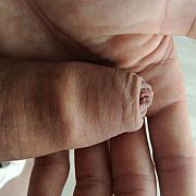 Dawidsokol - muž, 37 let, Tarnów