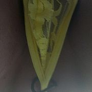 Aaa80 - mężczyzna, 45 lat, Bielefeld