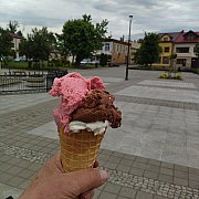 Radiolok - mężczyzna, 57 lat, Proszowice