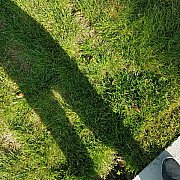 Fantastyczny12 - чоловік, 35 років, Piła