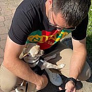 Misio44 - mężczyzna, 42 lat, Wrocław