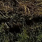 Black2020 - чоловік, 38 років, Wrocław