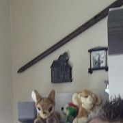 56378456896 - mann, 38 Jahre, Ciechanów