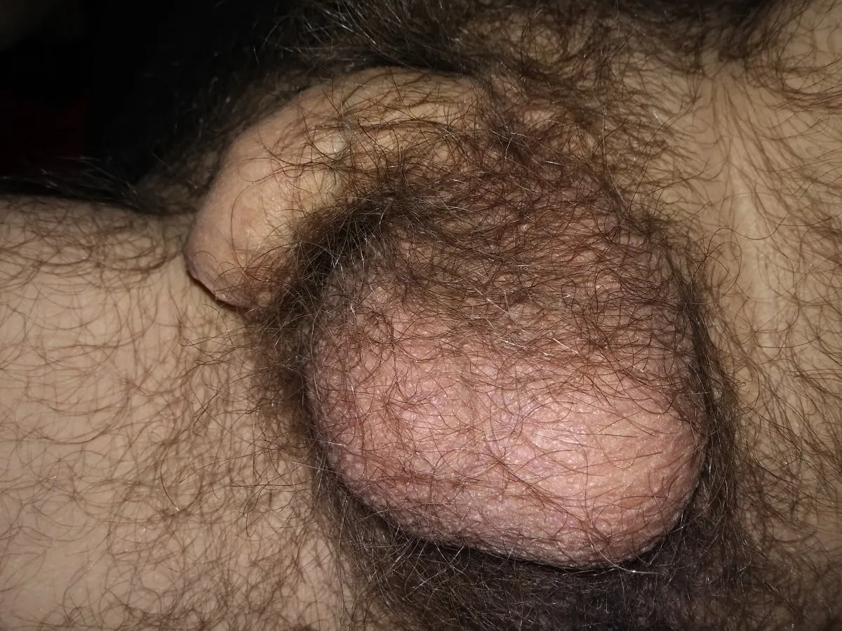 Photo in gallery