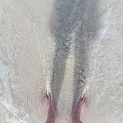 Meski1994 - чоловік, 31 років, Białystok