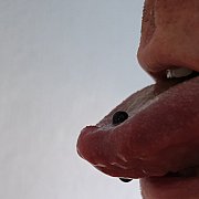 Prymusek3 - mann, 44 Jahre, Aberaeron