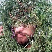 Jp2gmdgmd - mężczyzna, 29 lat, Brodnica