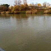 C9h13n - mężczyzna, 36 lat, Lębork