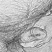 Octoberzex71 - man, 54 years, Września