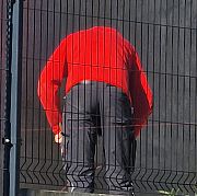 Tomas40
