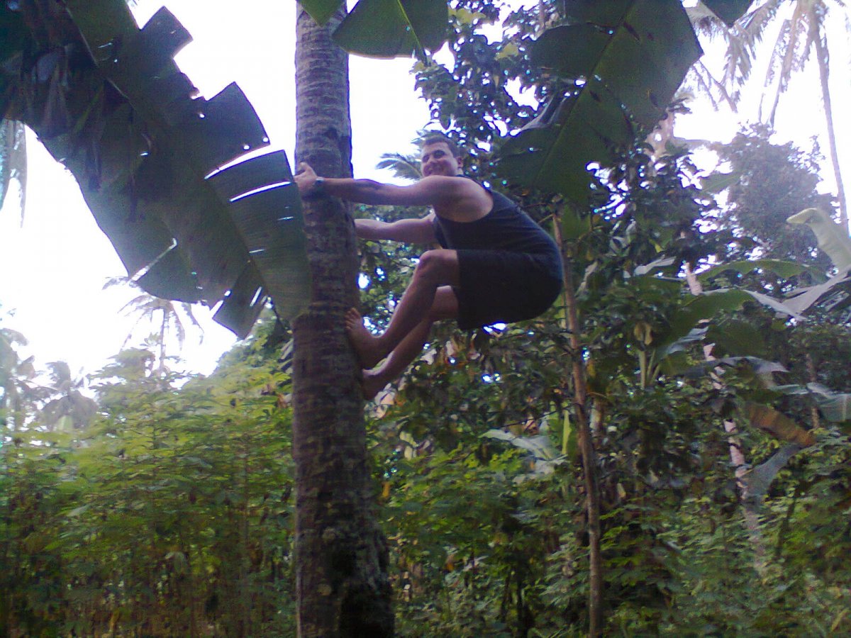 Photo in gallery