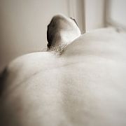 Szukam1021 - mann, 43 Jahre, Olsztyn