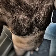 Tallone83