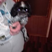 Lukasilawa - mężczyzna, 41 lat, Iława