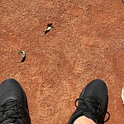 Nejron - чоловік, 42 років, Kraków