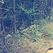 Raptor660 - mężczyzna, 36 lat, Kozienice