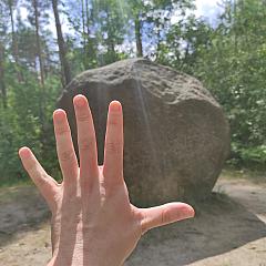 Photo in gallery