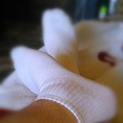 Fenix10 - чоловік, 45 років, Radom