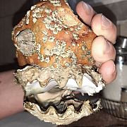 Marcik83 - mężczyzna, 42 lat, Gdańsk