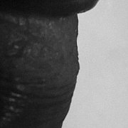 4Yen - чоловік, 41 років, Zielona Góra