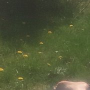 Kolus - mann, 42 Jahre, Świdwin