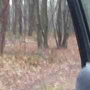 M1M2 - muž, 32 let, Lublin