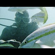 Holender1 - muž, 55 let, Białystok