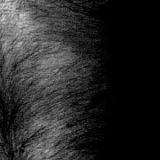 Zjawiskowo13 - mężczyzna, 38 lat, Katowice