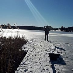 Photo in gallery