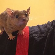 Andrewoldpunx - чоловік, 46 років, Rotterdam