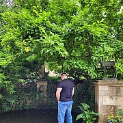 Mateusz726 - mężczyzna, 45 lat, Warszawa