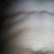 Wrtty - mężczyzna, 26 lat, Szczekociny