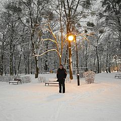 Photo in gallery