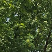 Dyskretslu - mann, 39 Jahre, Sopot