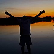 Feederek