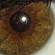 Maniomaly - man, 46 years, Rzeszów