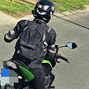 Tygrysik