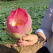 EwelinaSonata - žena, 55 let, Warszawa