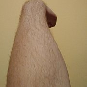 Lentilek666 - mann, 35 Jahre, Łódź