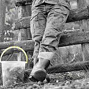 Stach42 - мужчина, 48 лет, Nowy Dwór Mazowiecki