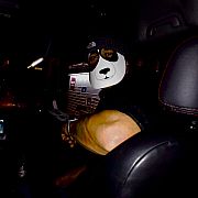 DCDT - чоловік, 37 років, Rotterdam