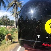 BartoszNG - mann, 39 Jahre, Derby