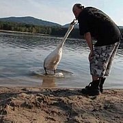 Dariustom - muž, 40 let, Opole