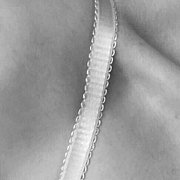 Lubiesiedobrzebawic - žena, 24 let, Leszno