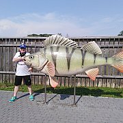 Jordan333 - мужчина, 53 лет, Włocławek