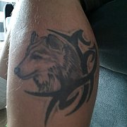 Tomato087 - чоловік, 38 років, Poznań